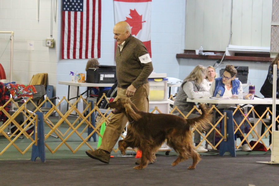 Dan Graham Companion Dog Training Club of Flint