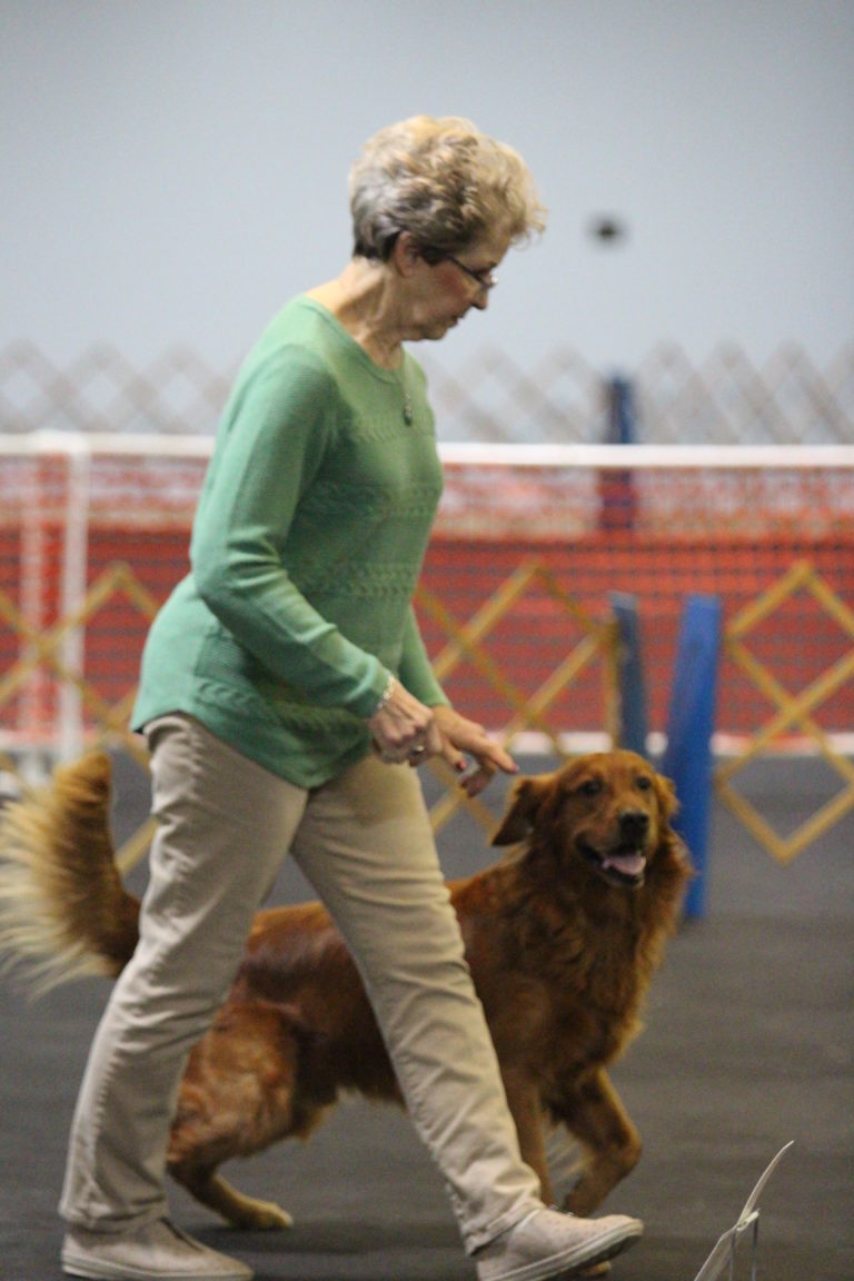 Ann Graham Companion Dog Training Club of Flint